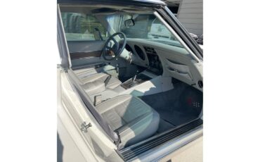 Chevrolet-Corvette-stingray-1976-Pearl-White-Grey-4