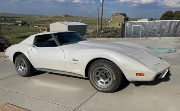 Chevrolet-Corvette-stingray-1976-Pearl-White-Grey-8