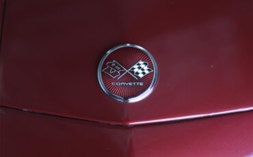 Chevrolet-Corvette-stingray-1976-Red-Black-19