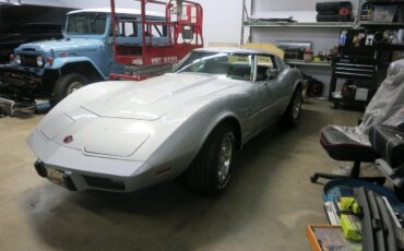 Chevrolet-Corvette-stingray-1976-Silver-Black-14