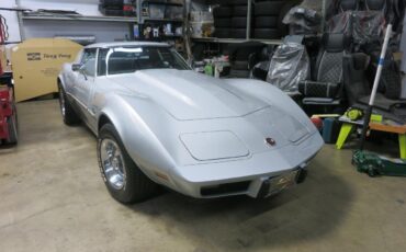 Chevrolet-Corvette-stingray-1976-Silver-Black-5