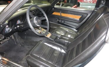 Chevrolet-Corvette-stingray-1976-Silver-Black-9