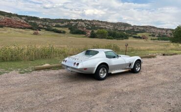 Chevrolet-Corvette-stingray-coupe-t-top-1974-silver-1
