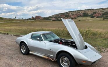 Chevrolet-Corvette-stingray-coupe-t-top-1974-silver-2