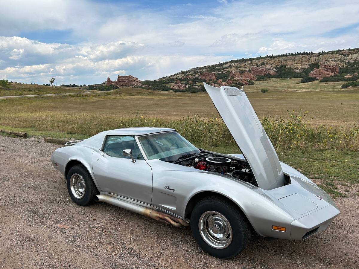 Chevrolet-Corvette-stingray-coupe-t-top-1974-silver-2