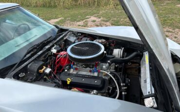 Chevrolet-Corvette-stingray-coupe-t-top-1974-silver-3