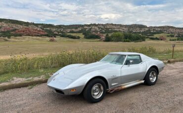 Chevrolet-Corvette-stingray-coupe-t-top-1974-silver-4