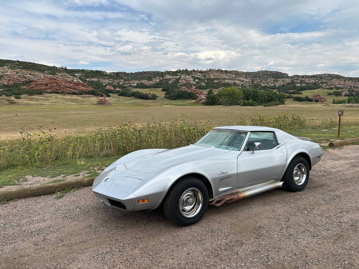 Chevrolet-Corvette-stingray-coupe-t-top-1974-silver-4