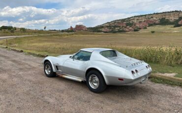 Chevrolet-Corvette-stingray-coupe-t-top-1974-silver-5