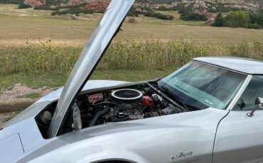 Chevrolet-Corvette-stingray-coupe-t-top-1974-silver-6