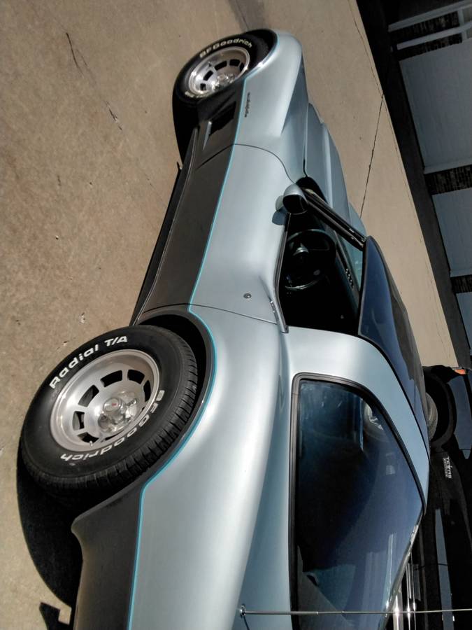Chevrolet-Corvette-tudor-1982-blue-10