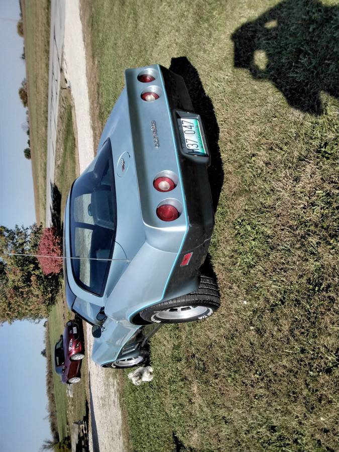 Chevrolet-Corvette-tudor-1982-blue-2