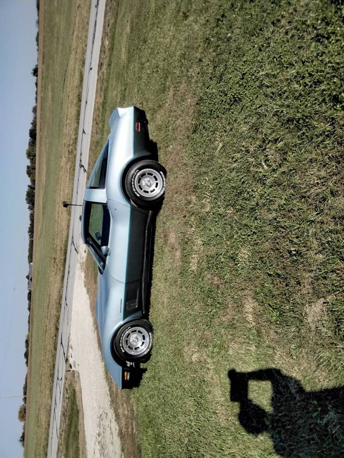 Chevrolet-Corvette-tudor-1982-blue-7