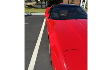 Chevrolet-Corvette-zr1-1991-TORCH-RED-CAMEL-32