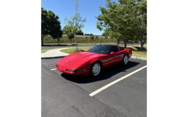Chevrolet-Corvette-zr1-1991-TORCH-RED-CAMEL-35