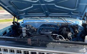 Chevrolet-Custom-1980-Blue-1