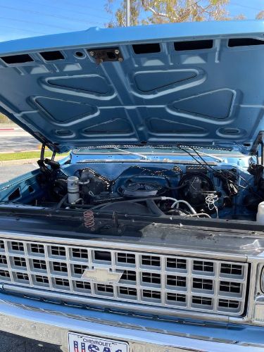 Chevrolet-Custom-1980-Blue-1