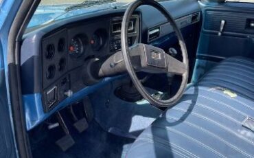Chevrolet-Custom-1980-Blue-2