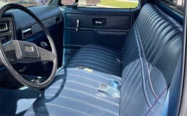 Chevrolet-Custom-1980-Blue-3