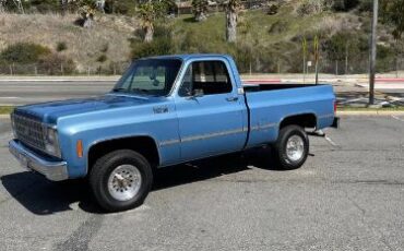 Chevrolet-Custom-1980-Blue