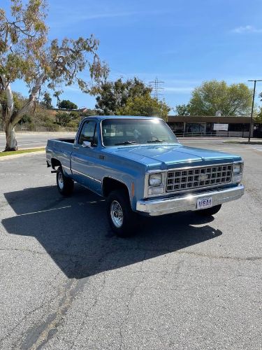Chevrolet-Custom-1980-Blue-6