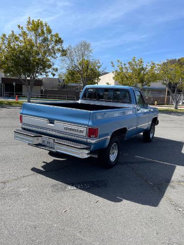 Chevrolet-Custom-1980-Blue-7