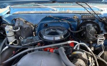 Chevrolet-Custom-1980-Blue-8