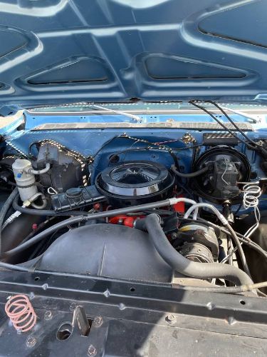 Chevrolet-Custom-1980-Blue-8