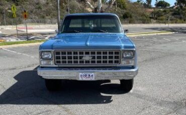 Chevrolet-Custom-1980-Blue-9
