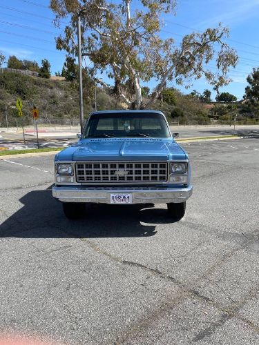 Chevrolet-Custom-1980-Blue-9