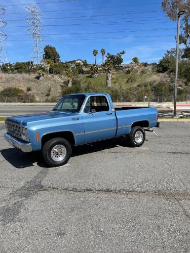 Chevrolet-Custom-1980-Blue
