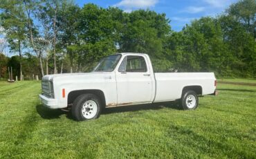 Chevrolet-Custom-deluxe-1978-1