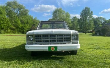 Chevrolet-Custom-deluxe-1978-2