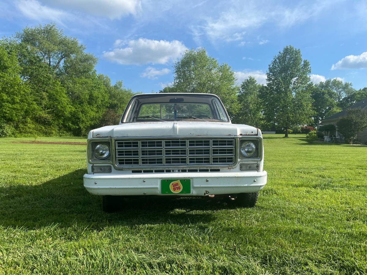 Chevrolet-Custom-deluxe-1978-2