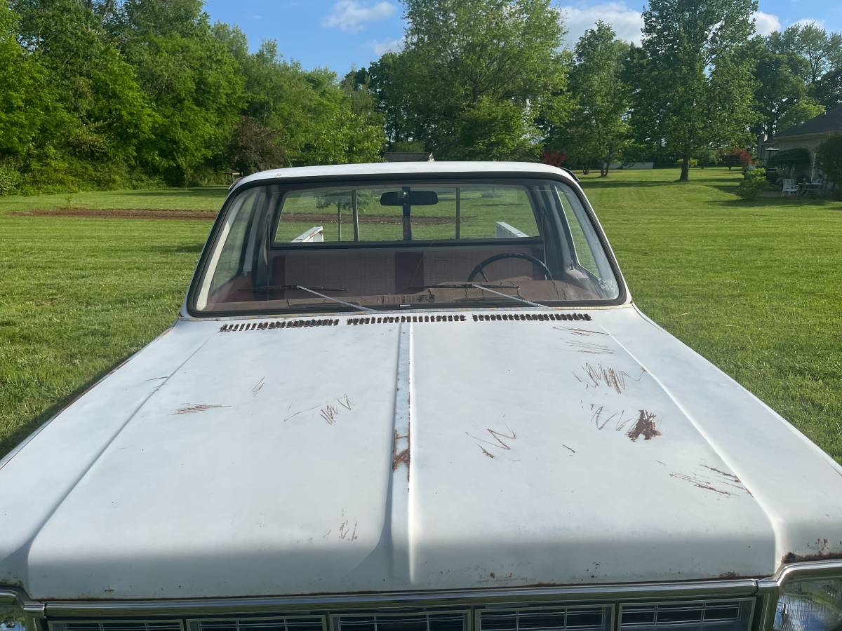 Chevrolet-Custom-deluxe-1978-3
