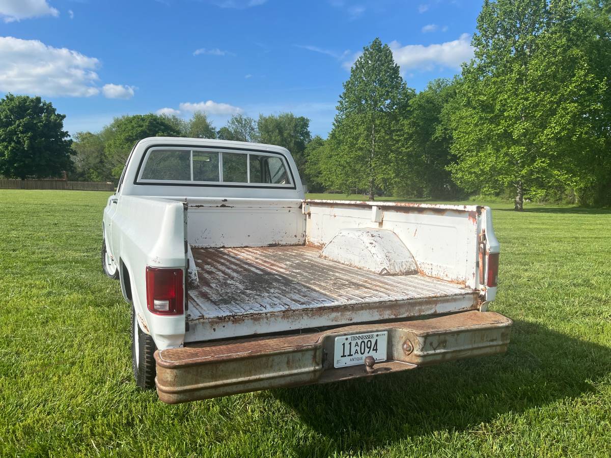 Chevrolet-Custom-deluxe-1978-4