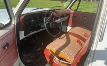 Chevrolet-Custom-deluxe-1978-5