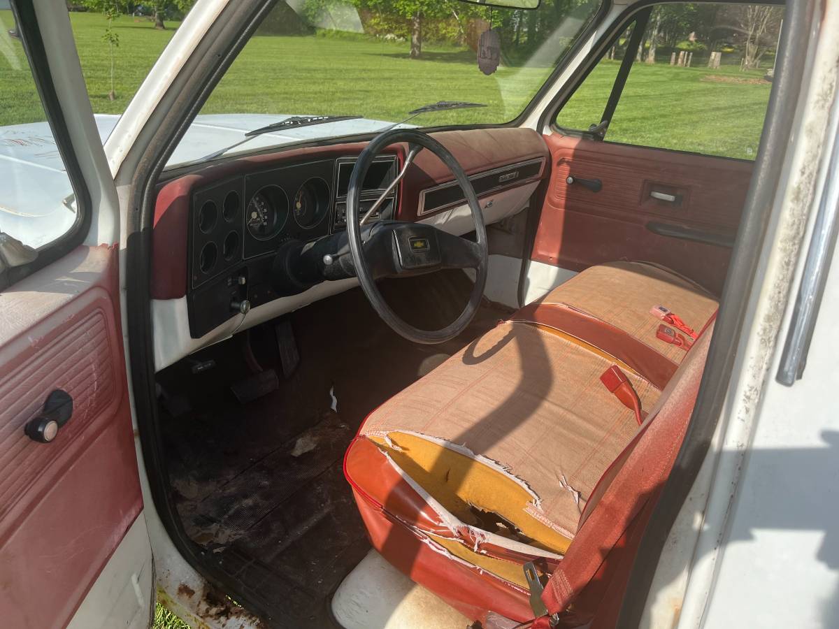 Chevrolet-Custom-deluxe-1978-5