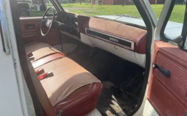 Chevrolet-Custom-deluxe-1978-6