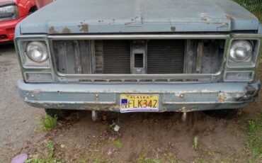 Chevrolet-Custom-deluxe-1980-blue-2