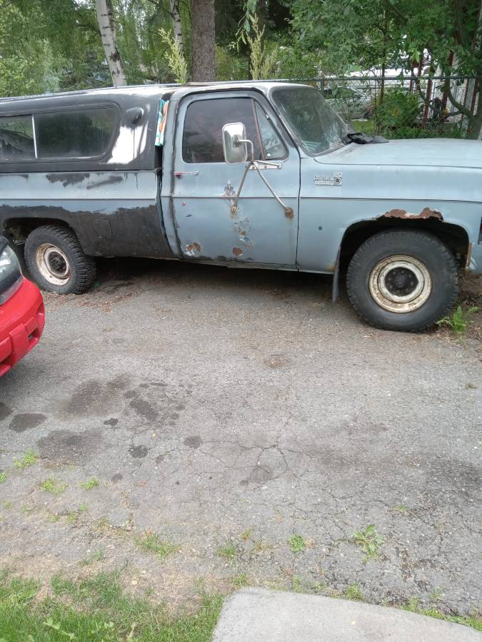 Chevrolet-Custom-deluxe-1980-blue-3