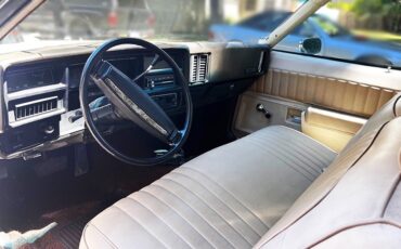 Chevrolet-El-Camino-1973-Utility-5