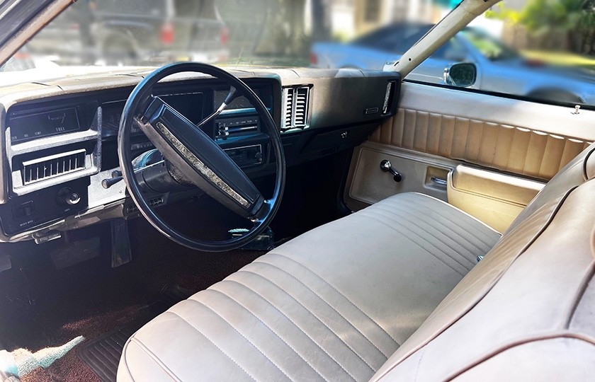 Chevrolet-El-Camino-1973-Utility-5