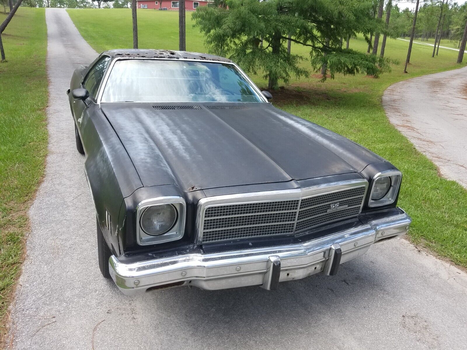 Chevrolet-El-Camino-1975-15