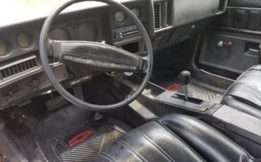 Chevrolet-El-Camino-1975-26