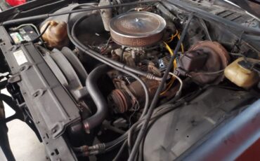 Chevrolet-El-Camino-1975-32
