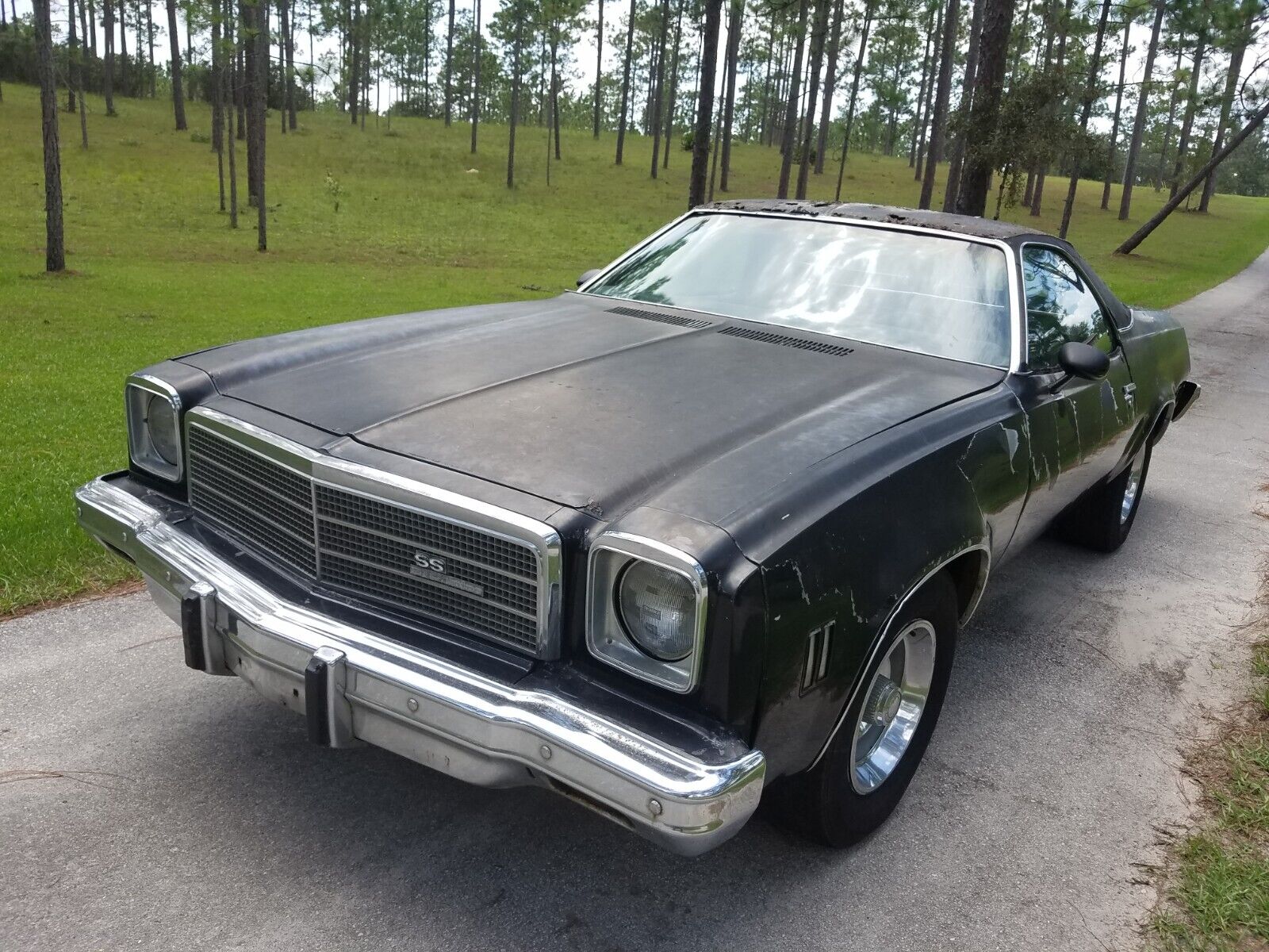 Chevrolet-El-Camino-1975-8