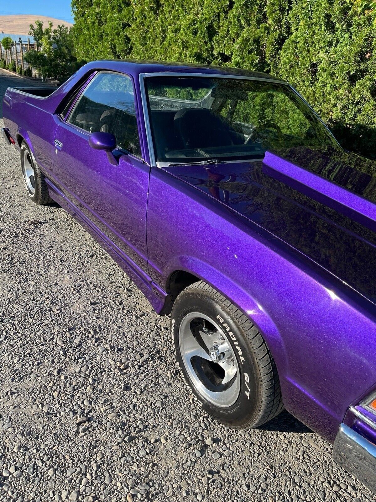 Chevrolet-El-Camino-1978-10