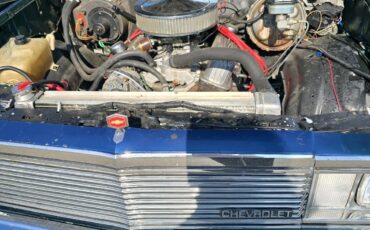 Chevrolet-El-Camino-1981-Standard-Cab-Pickup-4