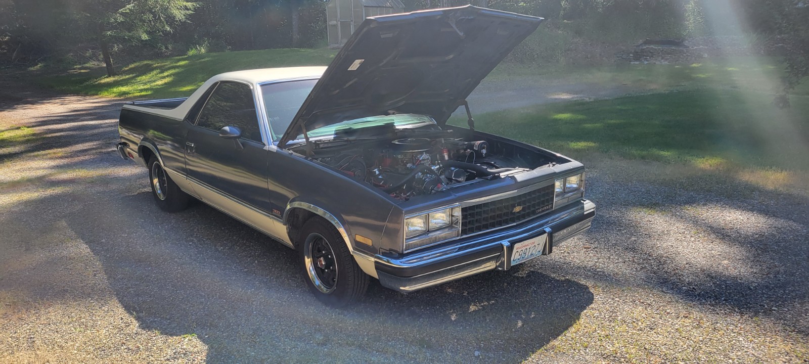 Chevrolet El Camino 1983 Standard Cab Pickup